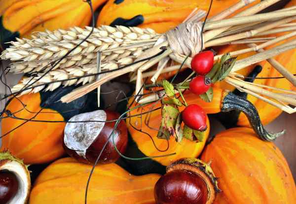 Herbststillleben