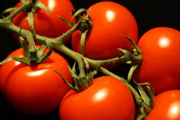 Tomaten