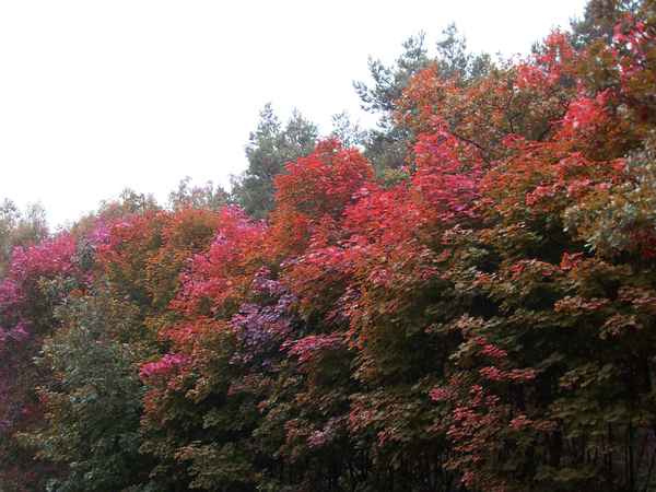 Schöner Herbst 3