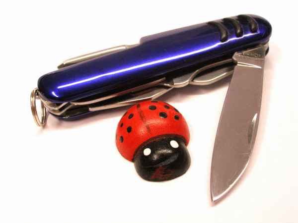 Gut, wenn man es hat ...