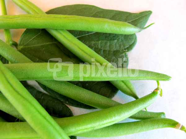 Reiche Ernte