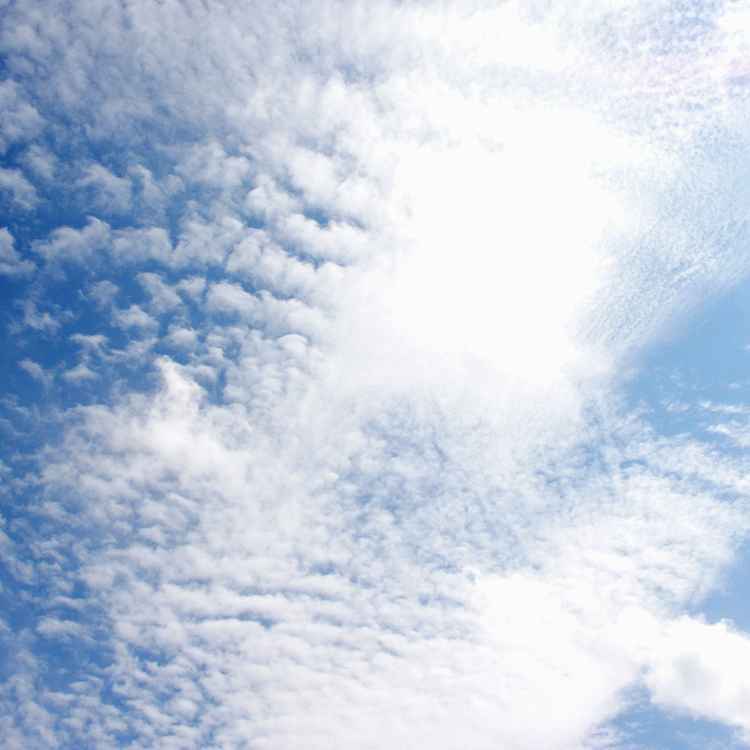 Schäfchenhimmel 2/2