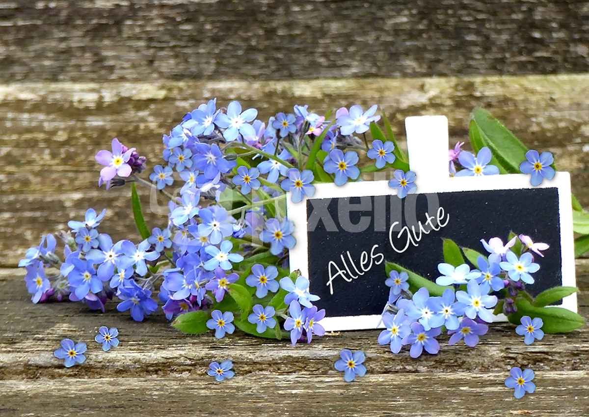 Alles Gute