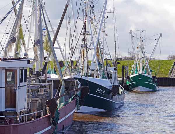 Krabbenkutter im Sielhafen