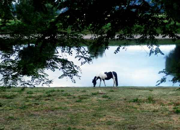 Ein Sommerabend am Fluss