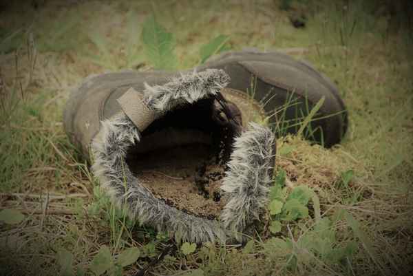 Zurück zur Natur ...