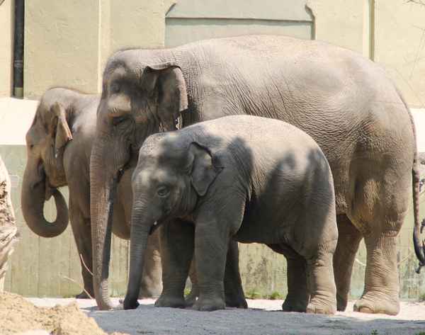 Mittagsschlaf mit Mama