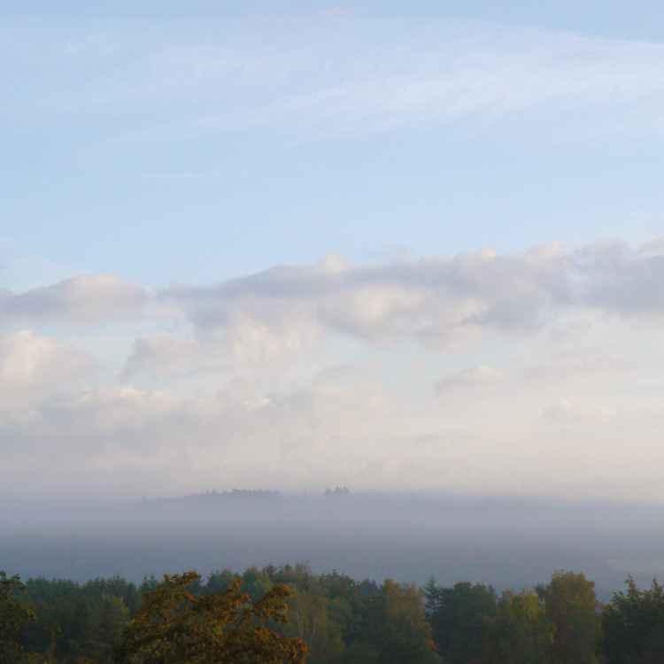 Nebelbank