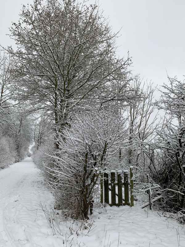 Schnee auf dem Spazierweg, mit Gartentürchen