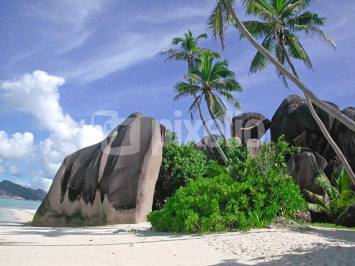 Seychellen Bacardistrand