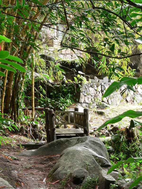 kleine Brücke im Regenwald