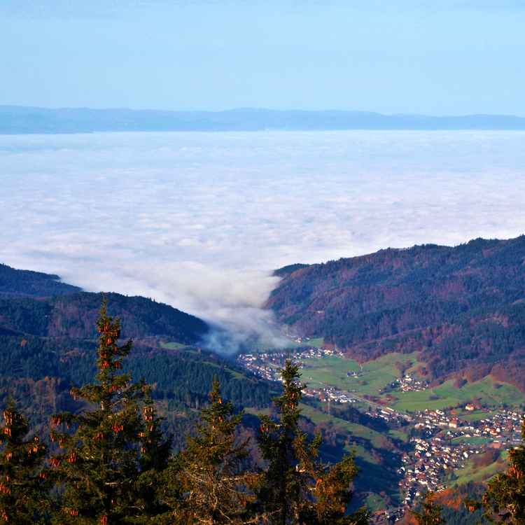 Der Nebel zieht ins Tal