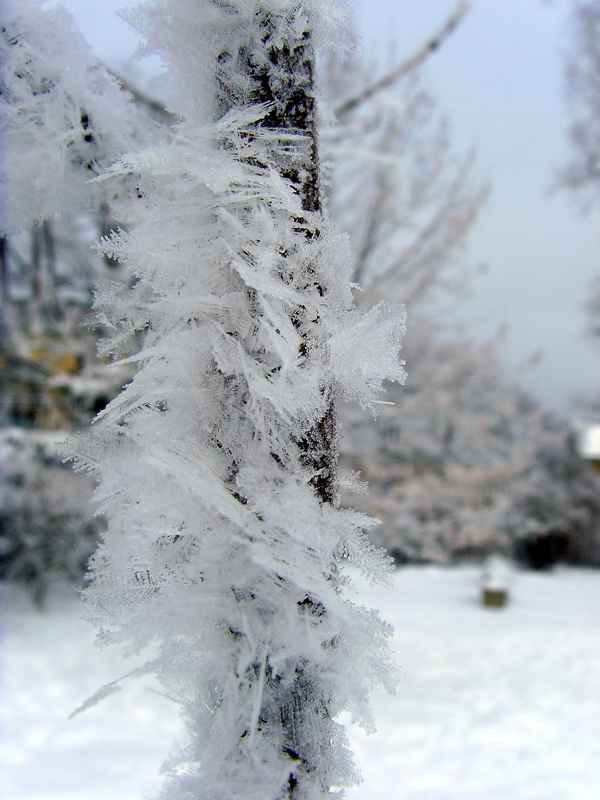 Schneekristalle bei minus 17 Grad