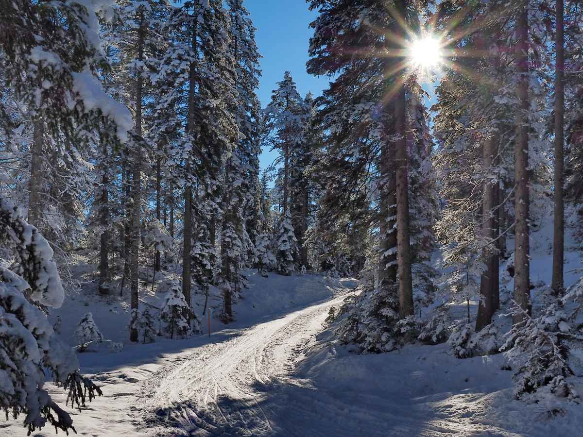 winterstimmung