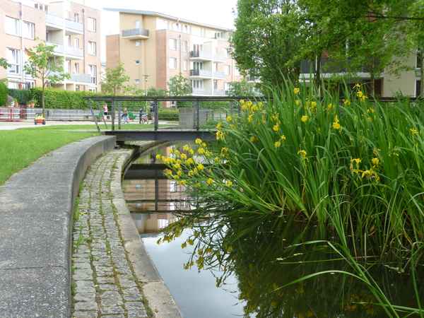 offene Regenwasserführung