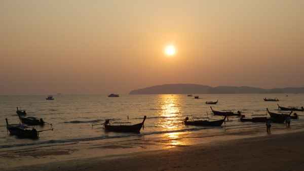 Golden Evening