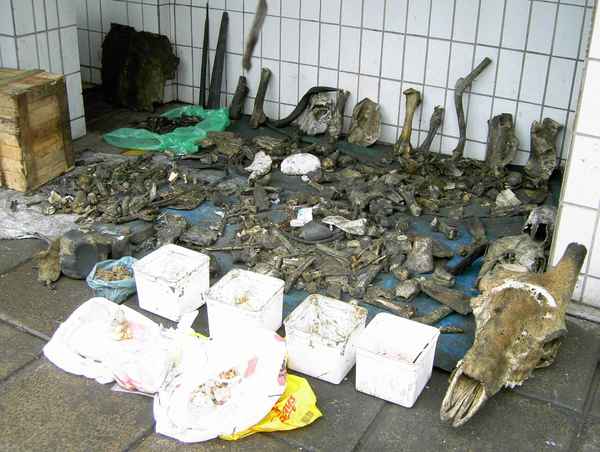 Südafrika - Durban - Indischer Markt - Utensilien eines Medizinmanns.jpg