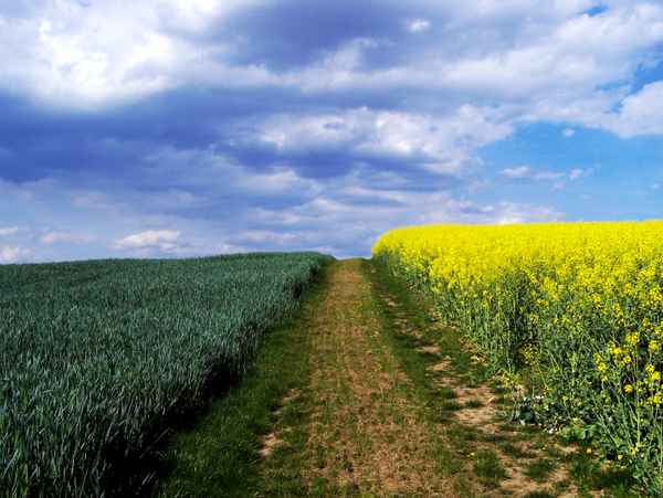 Himmel und Felder im Frühling