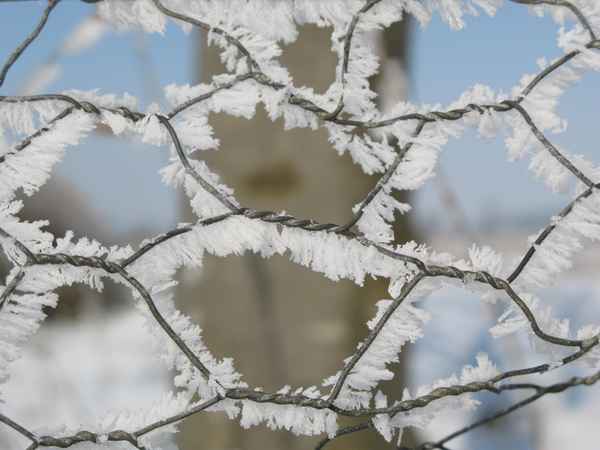 Zaun mit Winterrauhreif