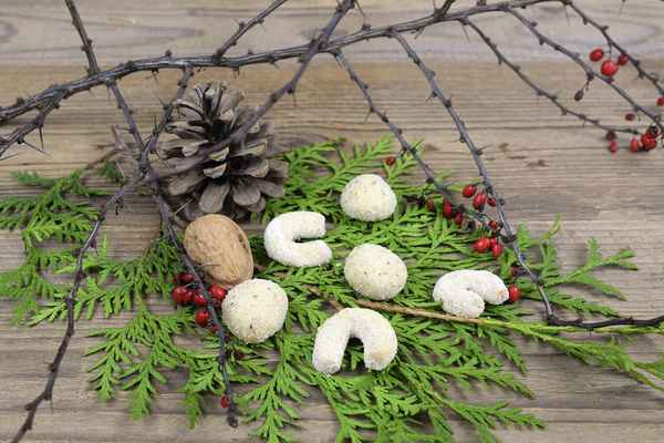 Vanillekipferl und Vanillekugeln