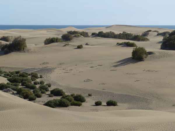 Dünen von Maspalomas GC
