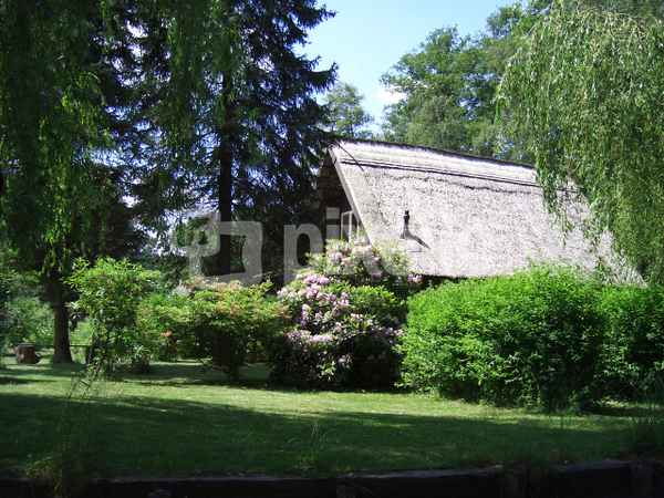 Spreewald1