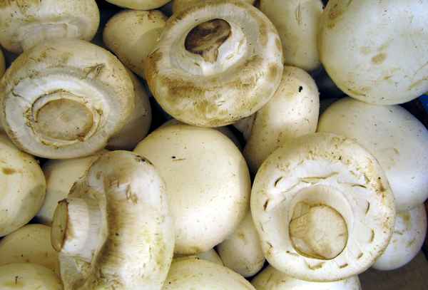 Champignons weiss