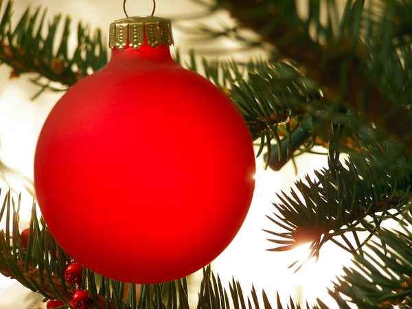 Weihnachtsbaum (2)