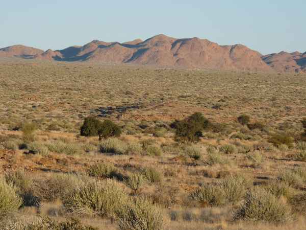 In der Steppe
