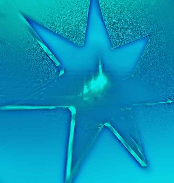 Weihnachtsstern ----