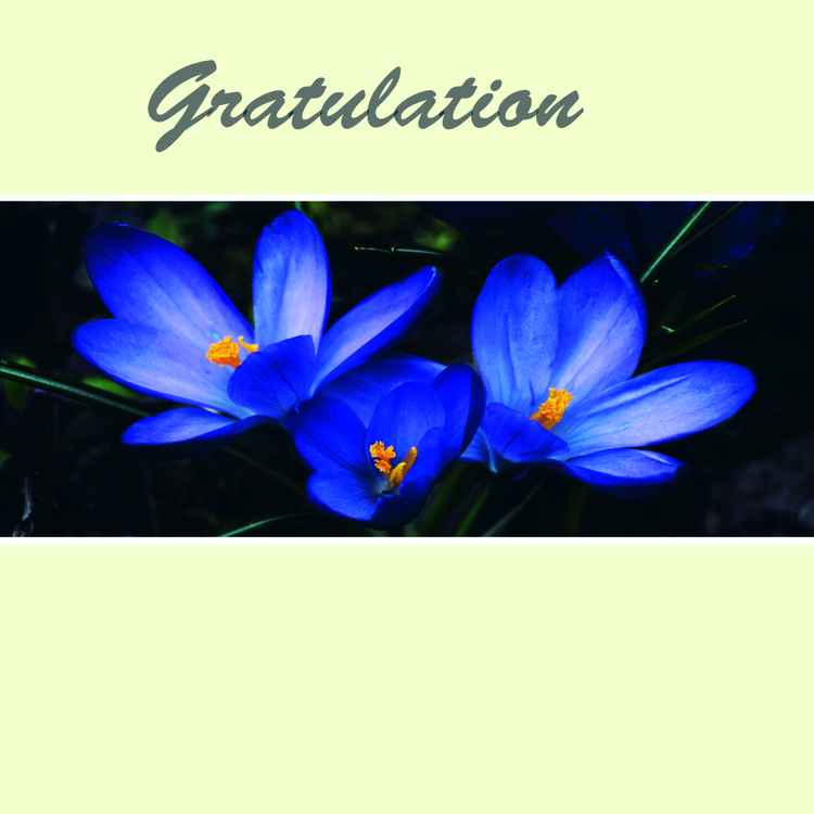 Gratulation