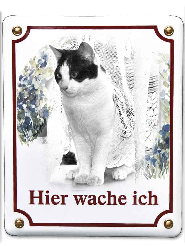 mein Kater Ernie als Wachhund