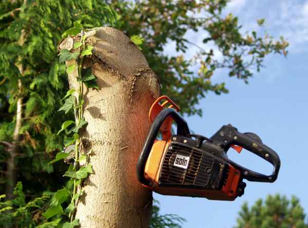 keine Lust mehr zu sägen