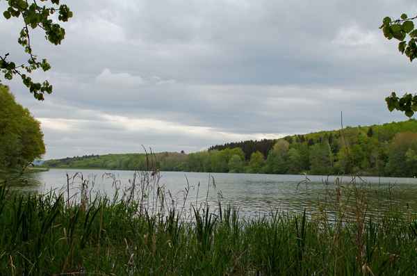 Ellertshäuser See 02