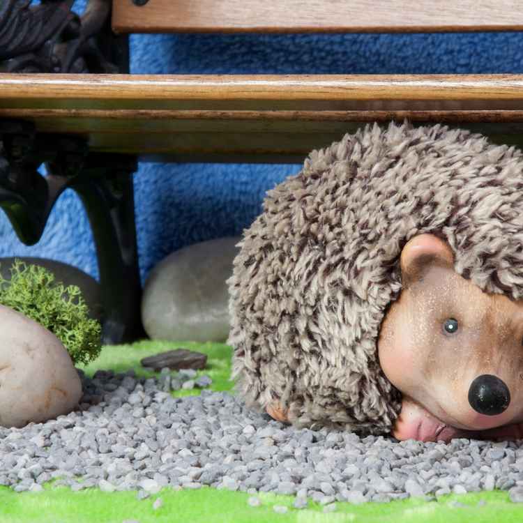 Igel unter der Parkbank