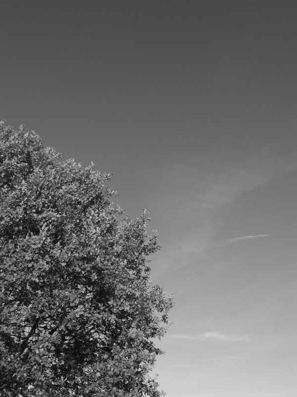 Herbst