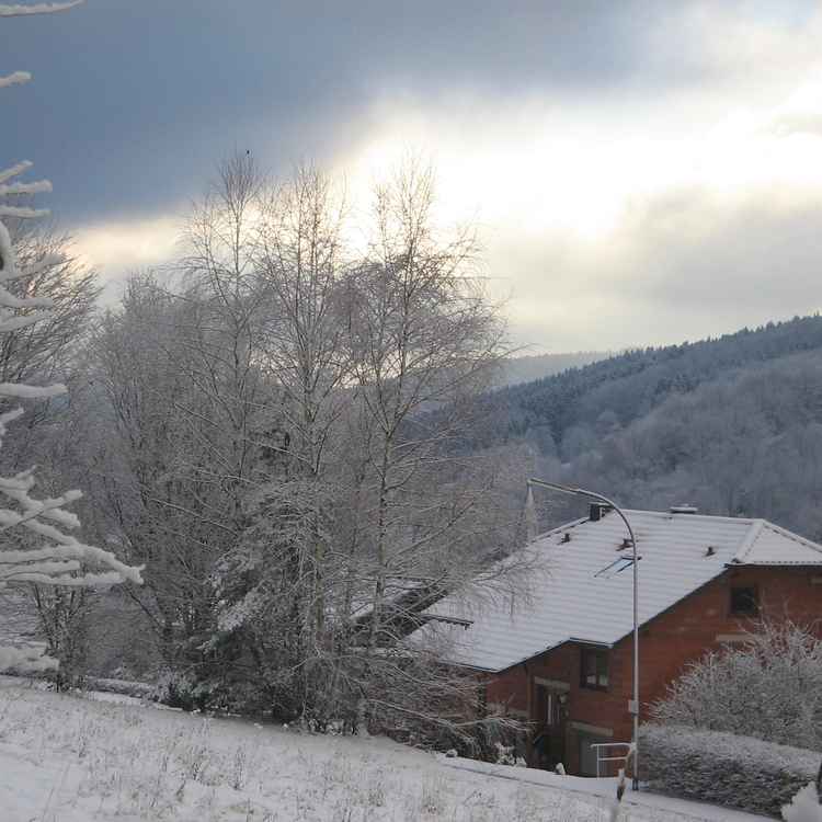 Winter im Floersbachtal