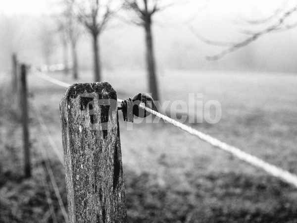 einfach Zaun
