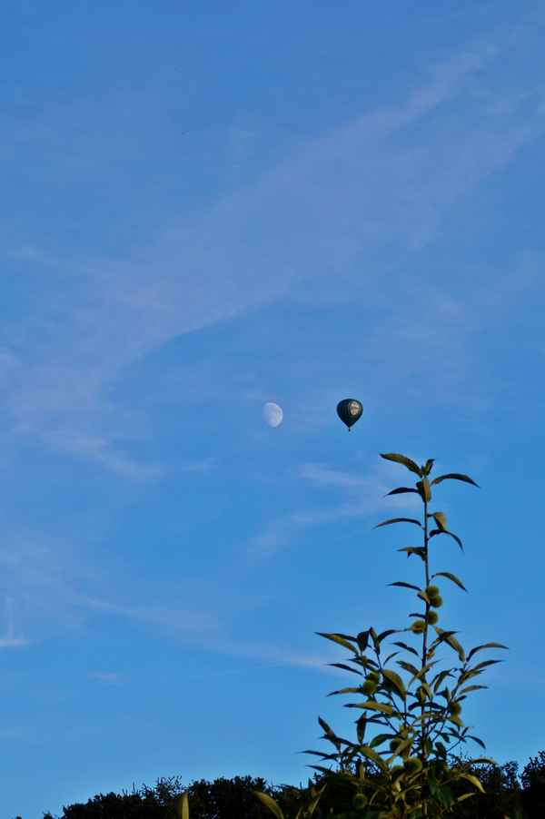 abendliche Ballonfahrt