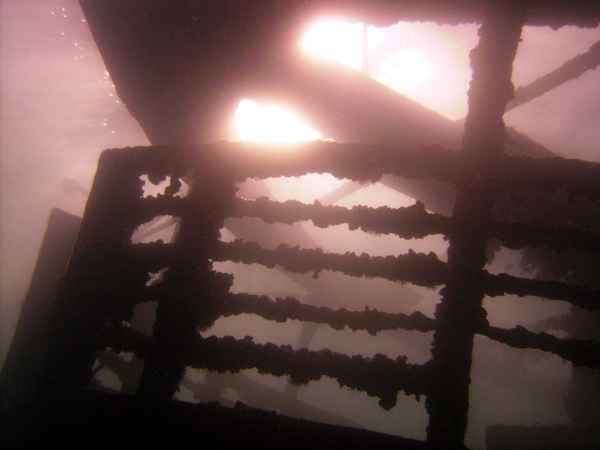 Wrack Balena im Gegenlicht