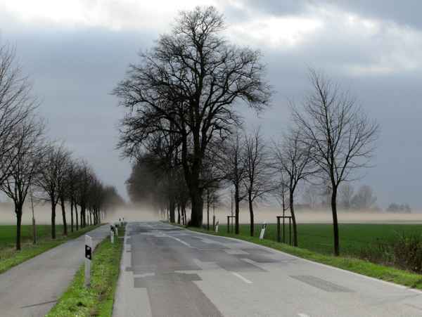Sandsturm in Mecklenburg