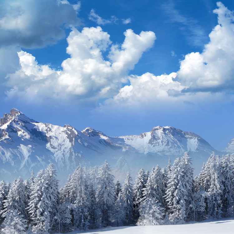 Walliser Wintermärchen