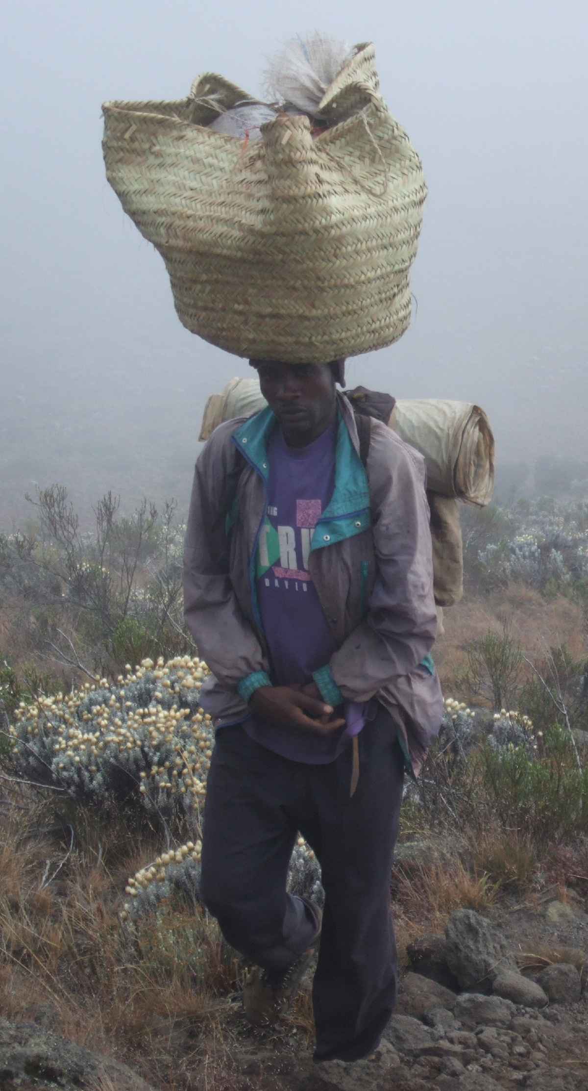 Träger im Nebel am Kilimanjaro