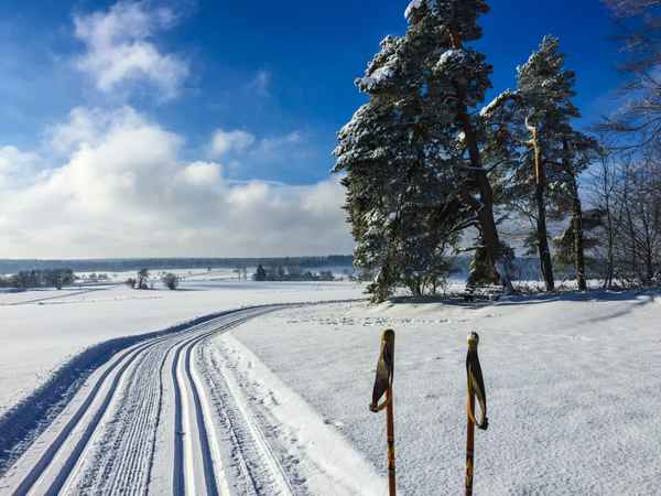 Langlauf-Loipe im Schwarzwald 01