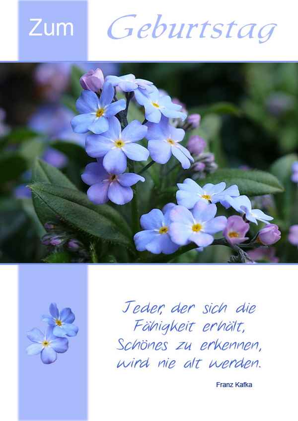 sag es mit Blümchen...