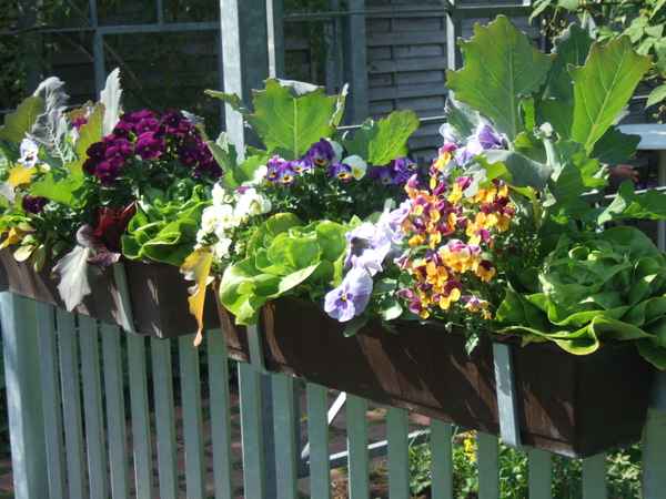 Blumen&Gemüse