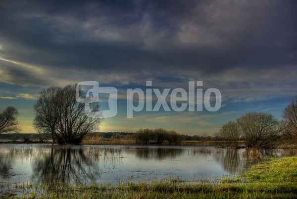 Elbehochwasser