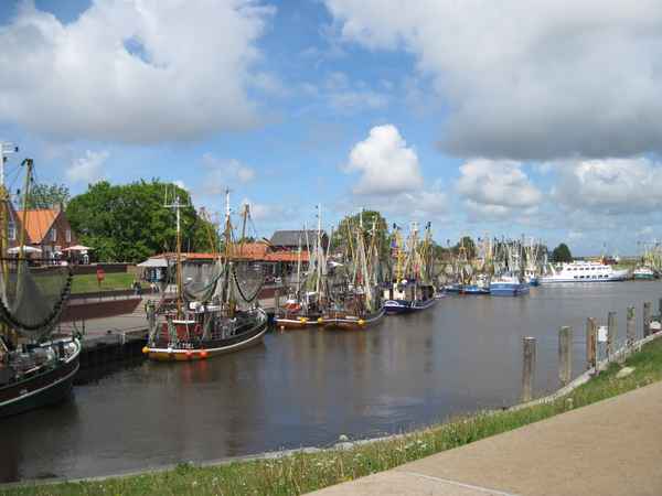 Fischkutter im Hafen
