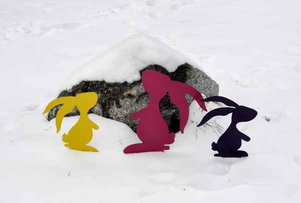 Schneehasen