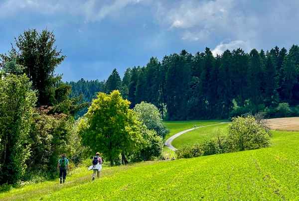 Wanderweg im Schwarzwald